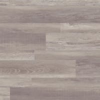 Boardwalk, SP176