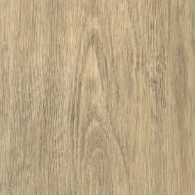 Hamsterley Oak, AG0W8770