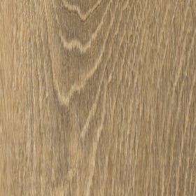 Whinlatter Oak, AR0W8730