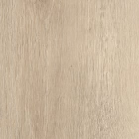 Clowes Oak, AG0W8650