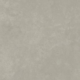 Lichen, SS5S2629