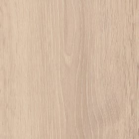 Powdered Oak, SS5W3311
