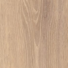 Muted Oak, SS5W3312