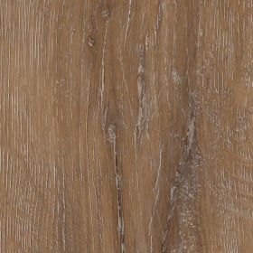 Manor Oak, AR0W7970