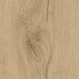 Brambly Oak, FS7W6180