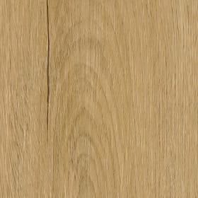 Hanningfield Oak, FS7W6190