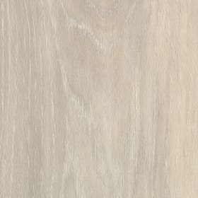 Clifton Oak, SS5W1040