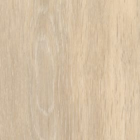 Tidewood Oak, SS5W1050