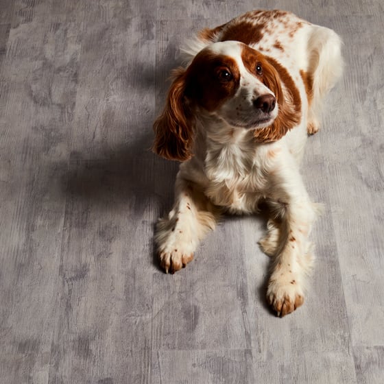 Amtico Spacia SS5W3029 Coastal Pine in Linear Block Laying Pattern