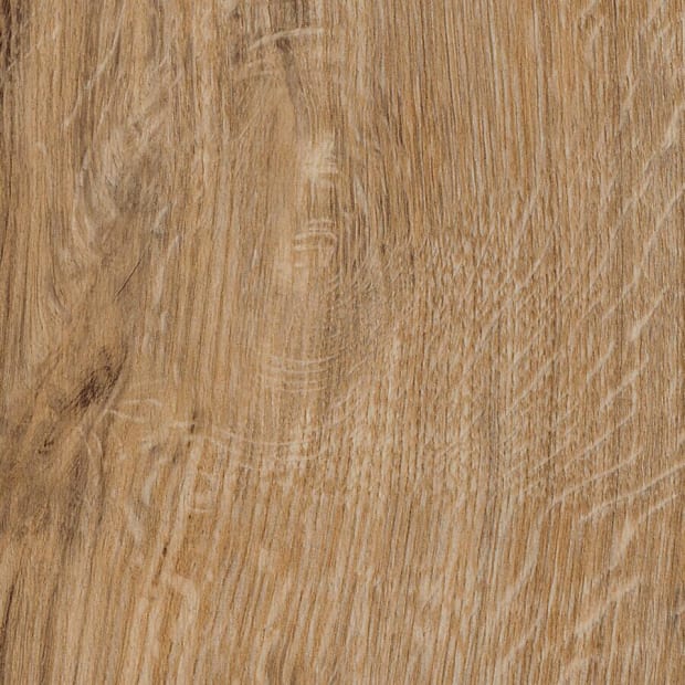 Featured Oak, SG5W2533