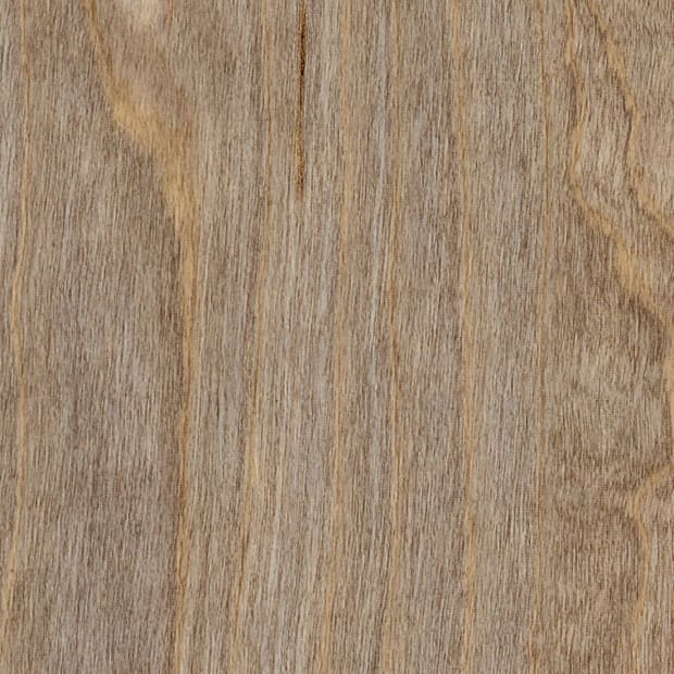 Bleached Elm, SG5W2516