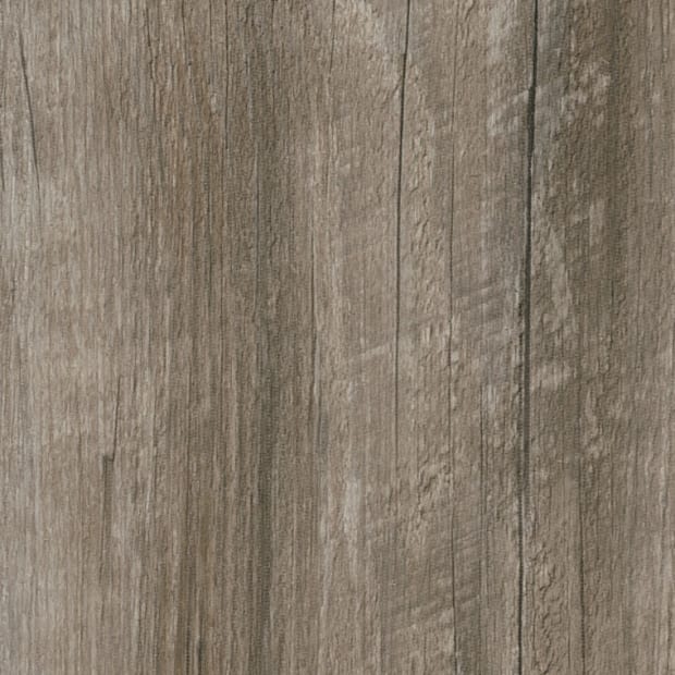 Coastal Pine, SG5W3029