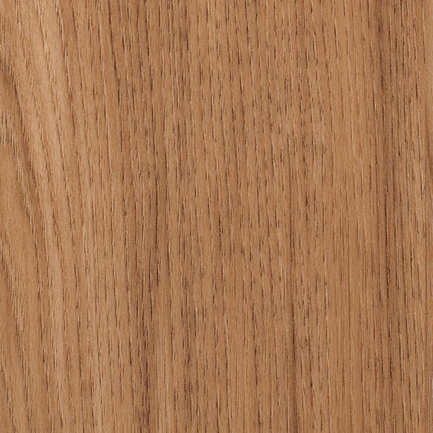 Smoothbark Hickory, SG5W2545