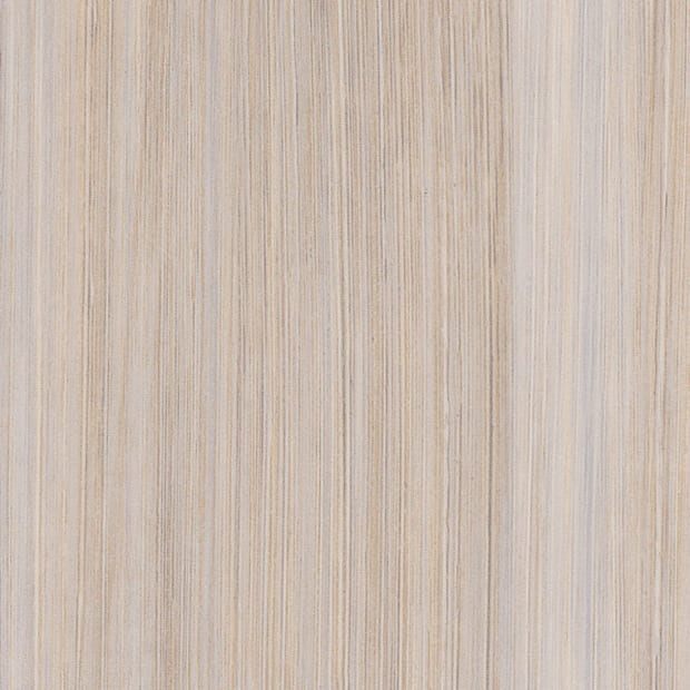 Mirus Cotton, SG5A6110