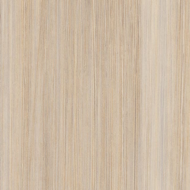 Mirus Cotton, AM5A6110