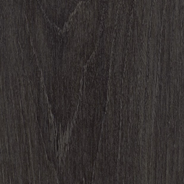 Black Timber, AM5W6129