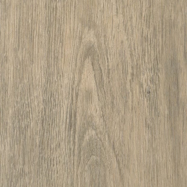 Tollymore Oak, AM5W8760