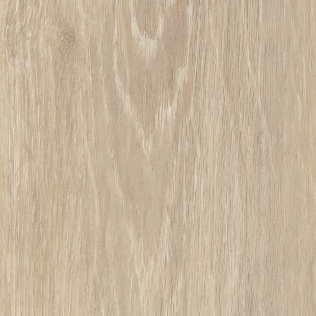 Foreshore Oak, AM5W6120