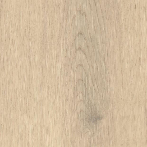 Laholm Oak, AM5W6230