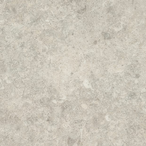 Abbey Stone, SS5S4570