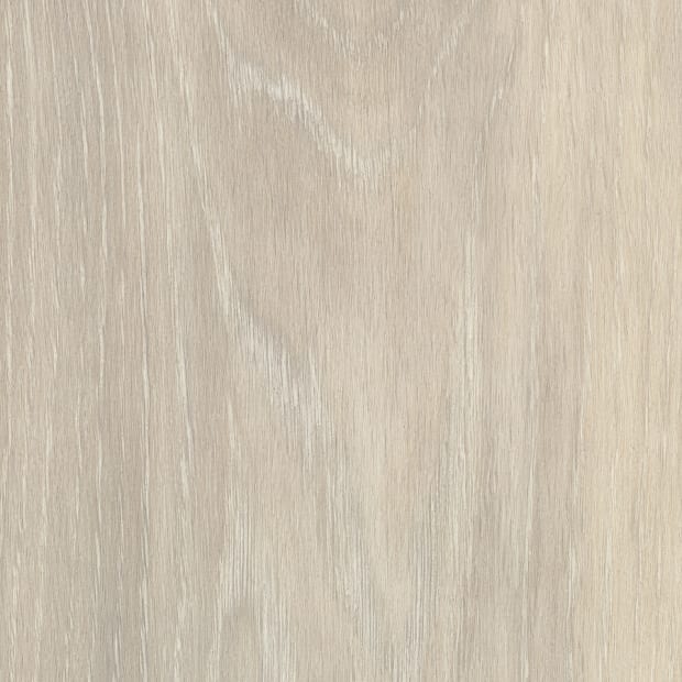 Clifton Oak, SS5W1040