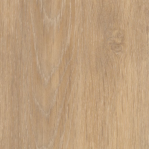 Lyndhurst Oak, SS5W1070