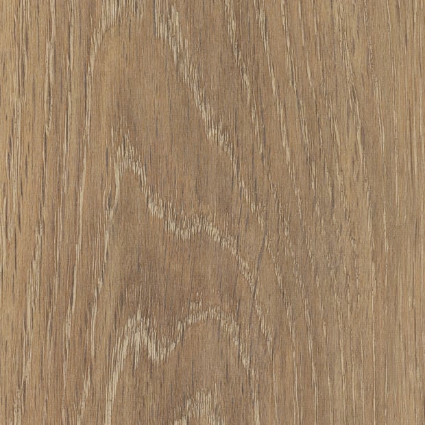 Wenlock Oak, SS5W1080