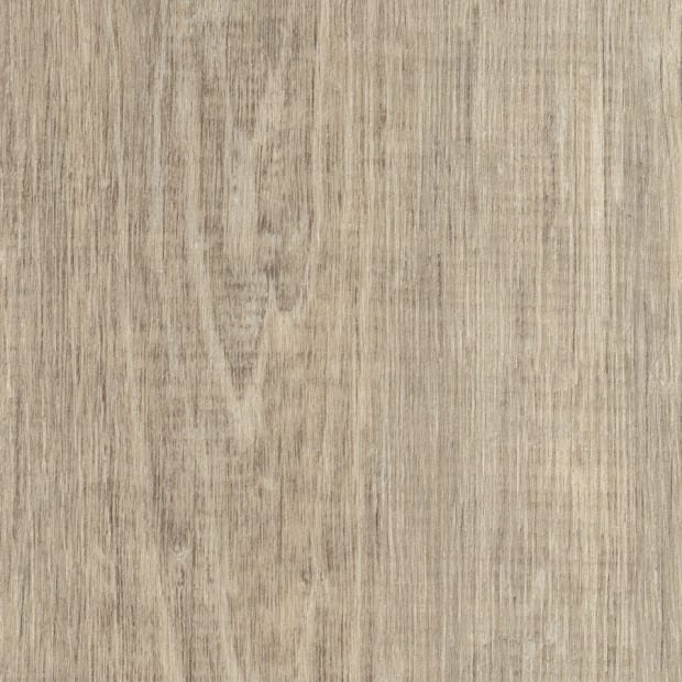 Blanched Oak, SS5W1360