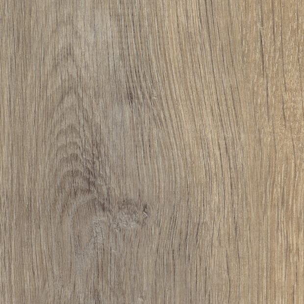 Harrier Oak, SG5W1380