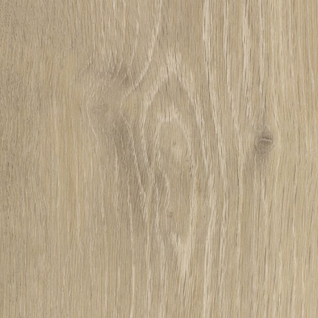 Hartland Oak, SG5W1180