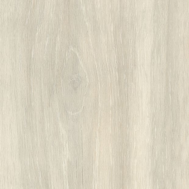 Oyster Oak, SG5W1090