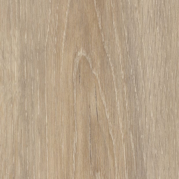 Wilton Oak, SG5W1060