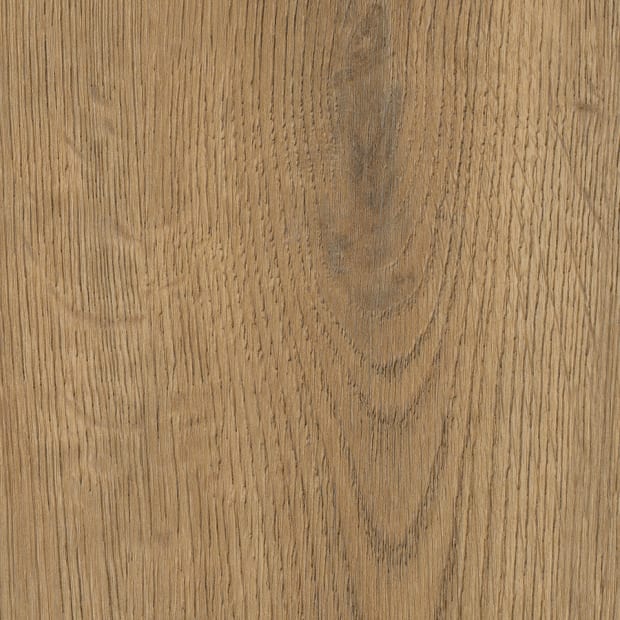 Windsor Oak, SG5W1260