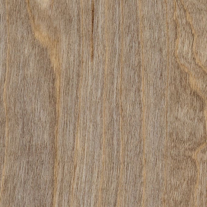 Bleached Elm, SG5W2516
