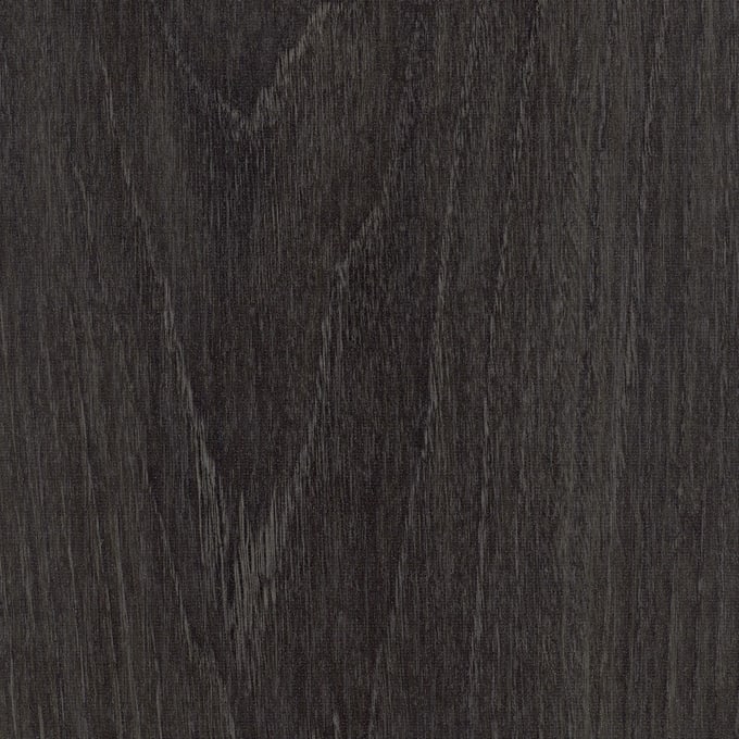 Black Timber, AM5W6129