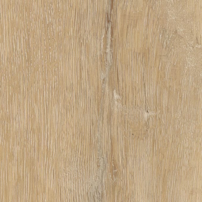 Trevellas Oak, AM5W8890