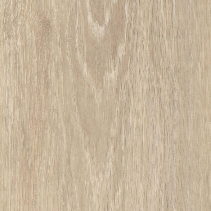 Foreshore Oak, AM5W6120