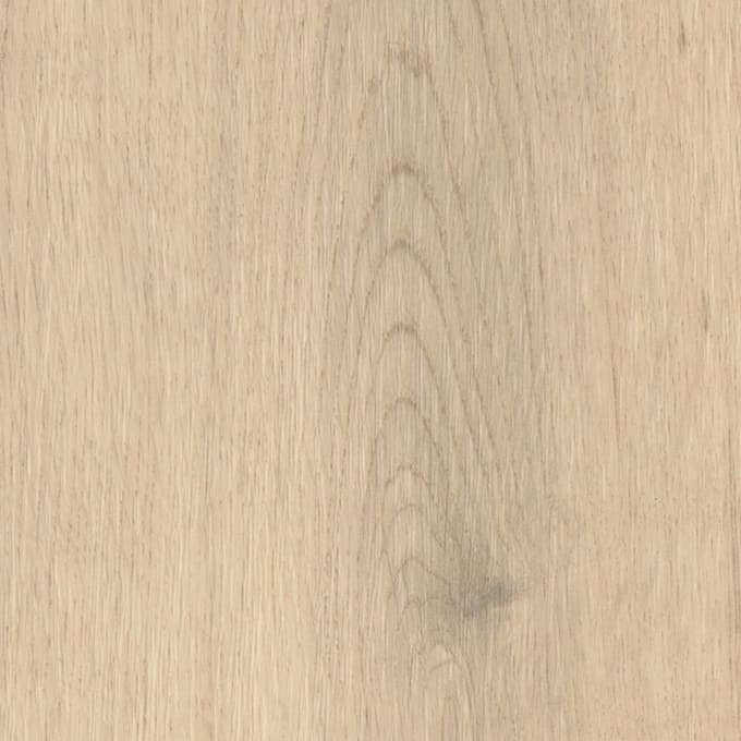 Laholm Oak, AM5W6230