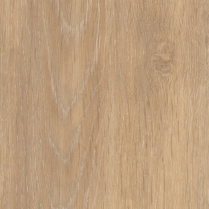 Lyndhurst Oak, SS5W1070