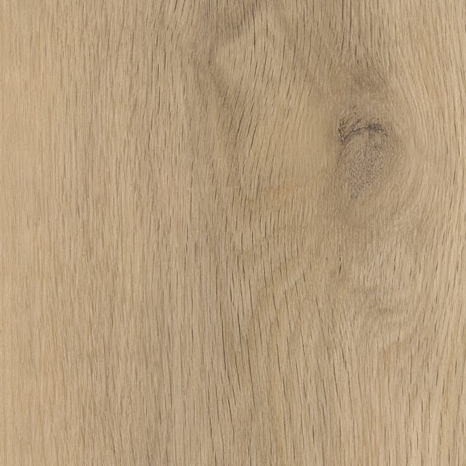 Milliner Oak, SS5W1290