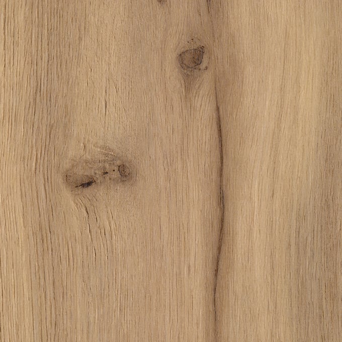 Alverton Oak, SS5W1310