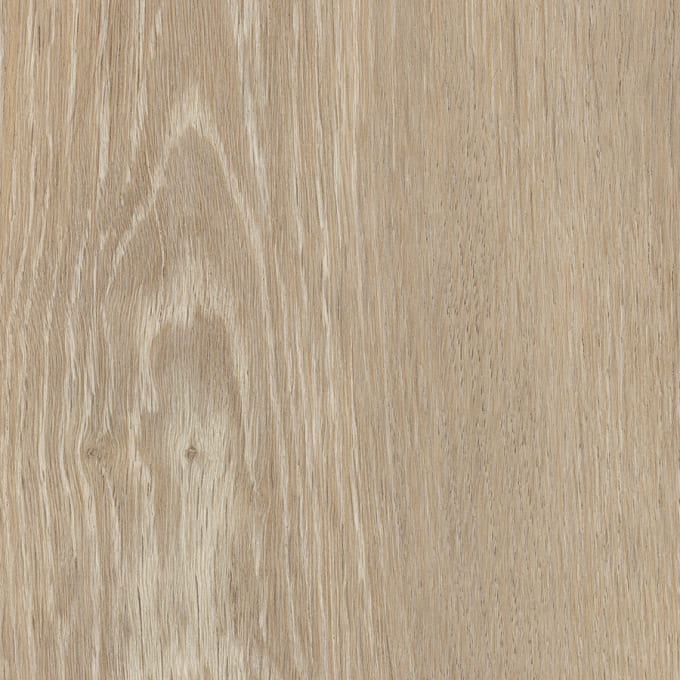 Saunton Oak, SG5W1190