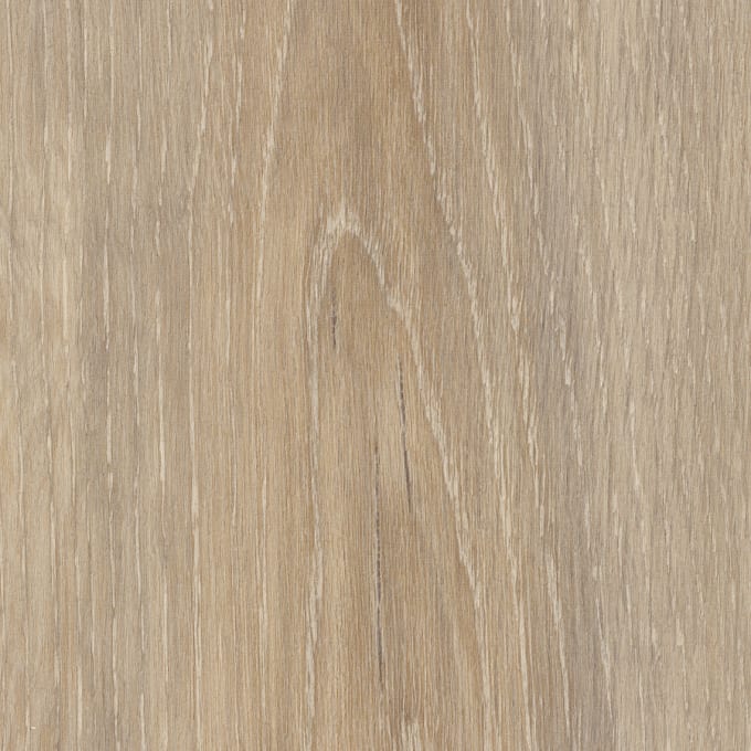 Wilton Oak, SG5W1060