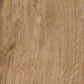 Featured Oak, SS5W2533