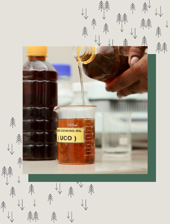 Used Cooking Oil (UCO) is another waste product that is a source of renewable ethylene